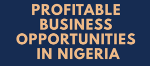 Daily Income Businesses in Nigeria