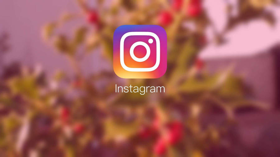 change-instagram-background-images-without-covering-photos