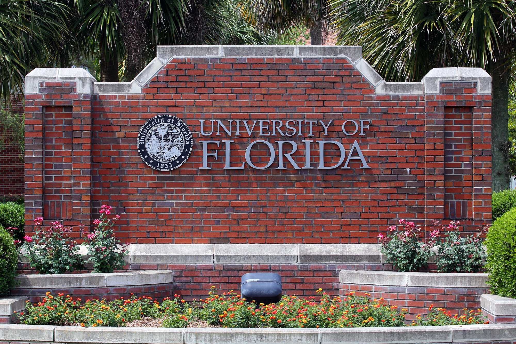 University of Florida Acceptance Rate and Tips for Applicants